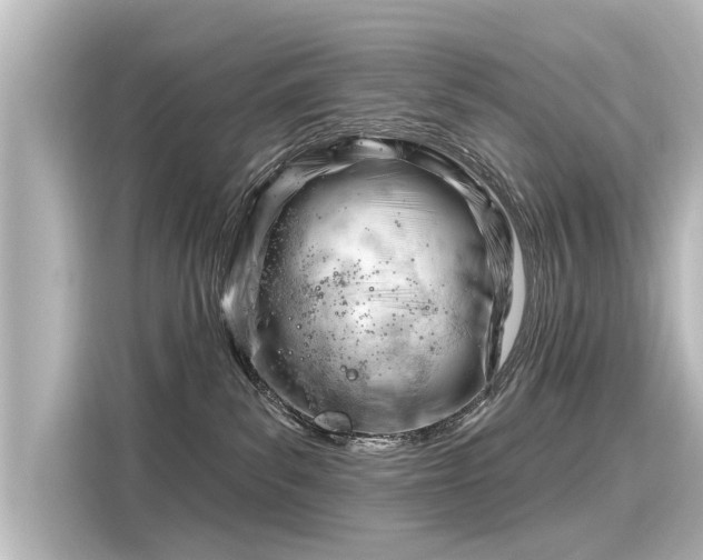 X0000116160139200911301610