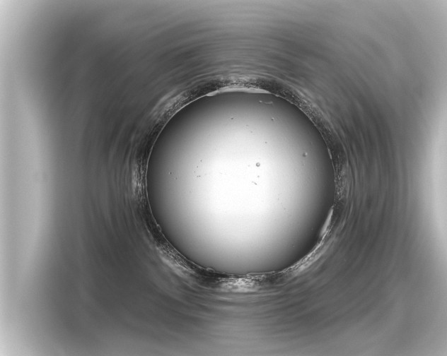 X0000116160140200911301610