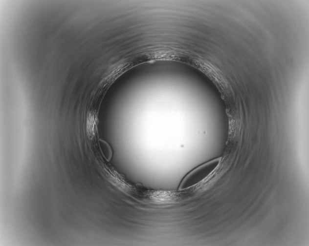 X0000116160142200911301609