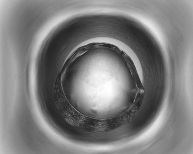 X0000116160143200911301609