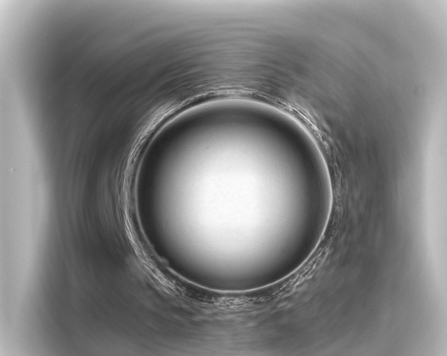 X0000116160145200911301609