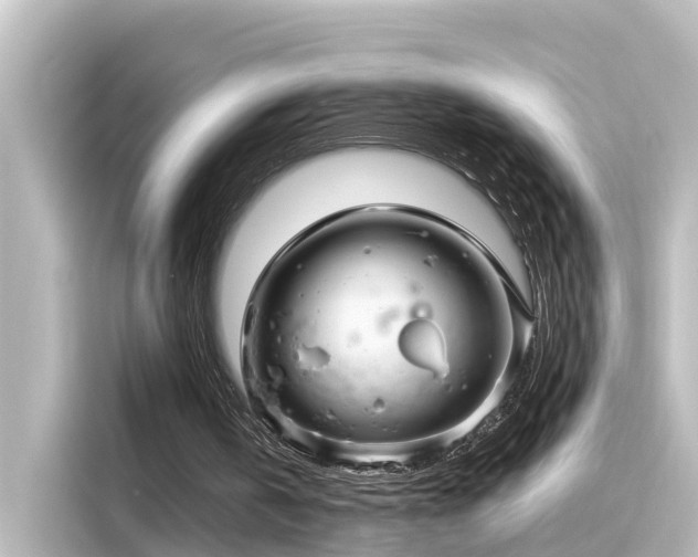 X0000116160146200911301609