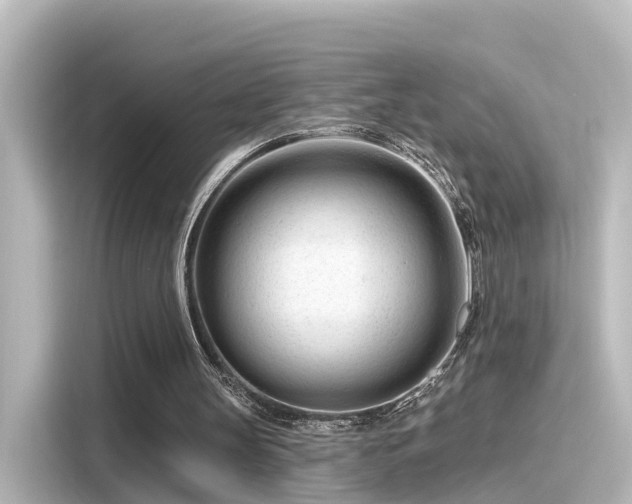 X0000116160147200911301609