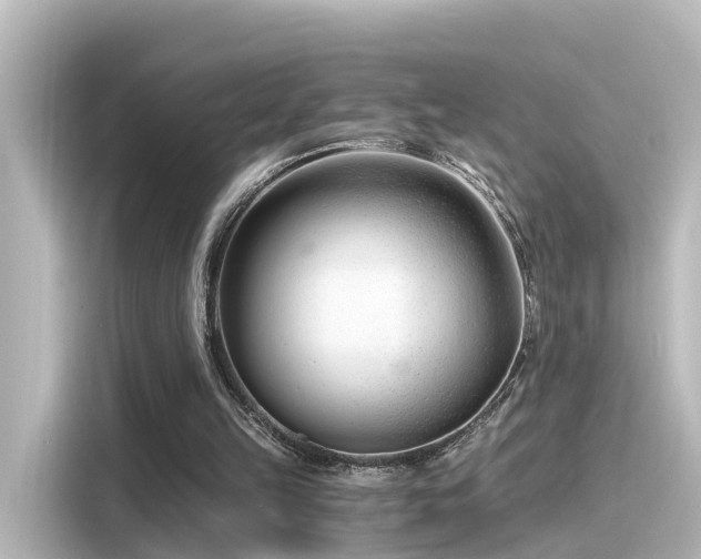 X0000116160149200911301609