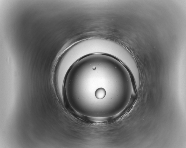 X0000116160150200911301609