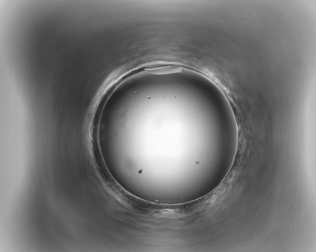 X0000116160151200911301609