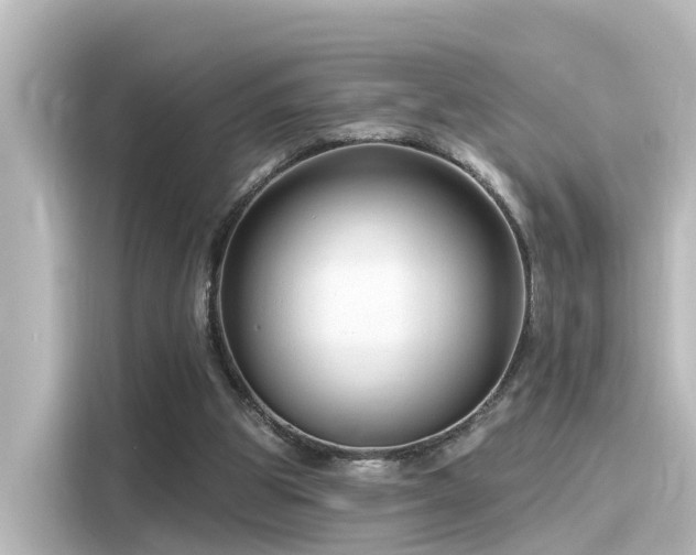 X0000116160153200911301609