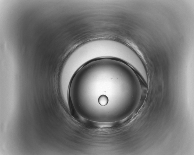 X0000116160154200911301609