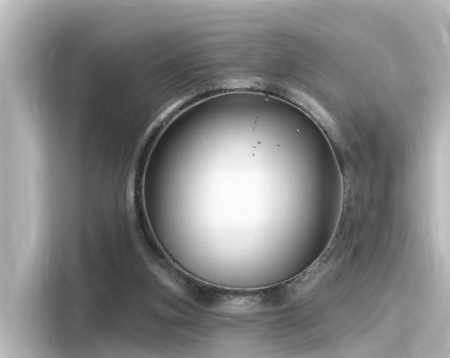 X0000116160155200911301609