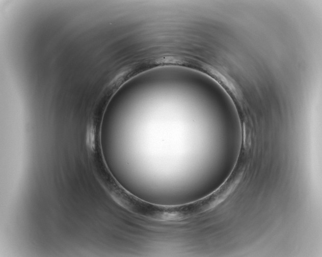 X0000116160157200911301609