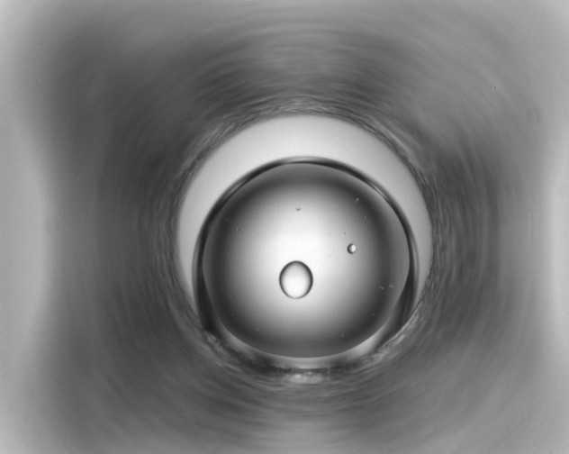 X0000116160158200911301609