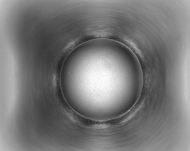 X0000116160161200911301609