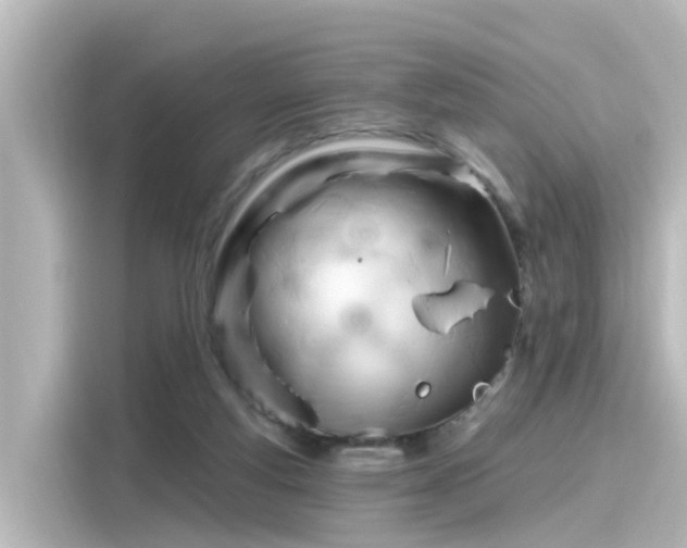 X0000116160163200911301609