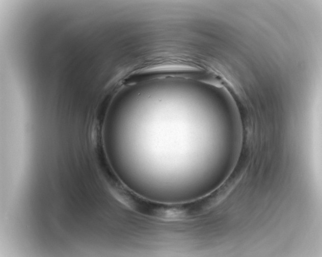 X0000116160165200911301609