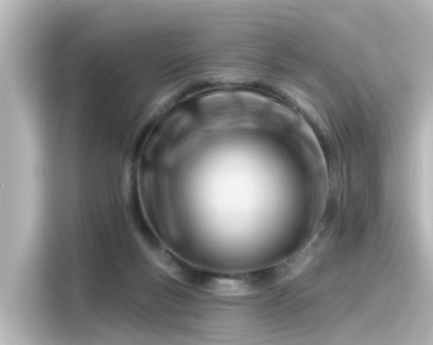 X0000116160167200911301609