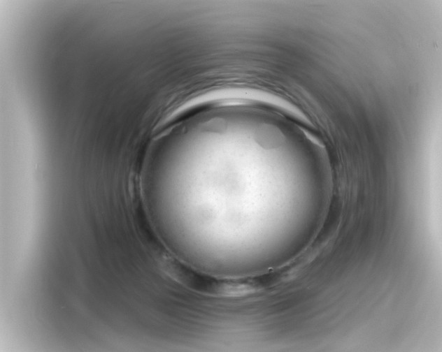 X0000116160169200911301609