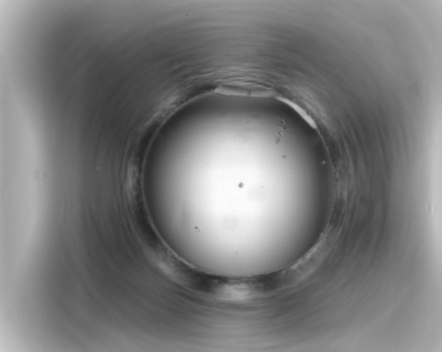 X0000116160171200911301609