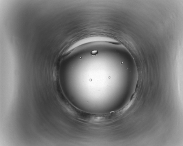 X0000116160174200911301609