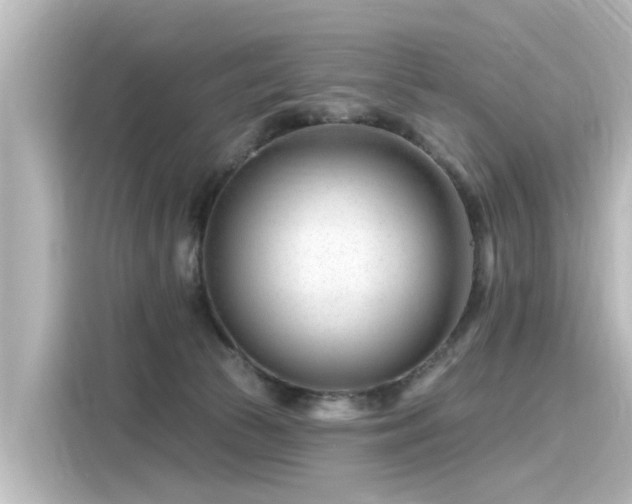 X0000116160177200911301609