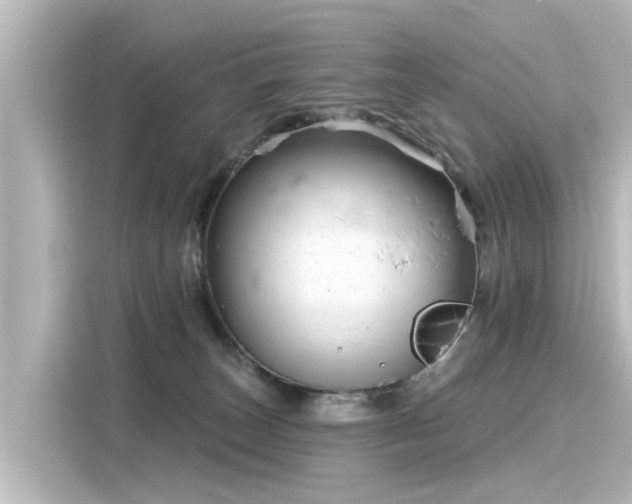 X0000116160179200911301609