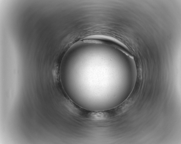 X0000116160181200911301609