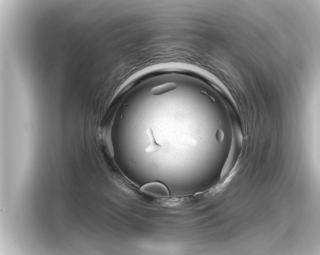 X0000116160182200911301609