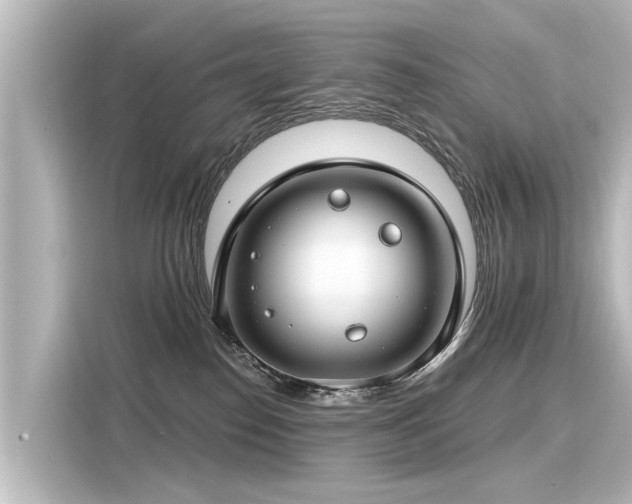 X0000116160186200911301609