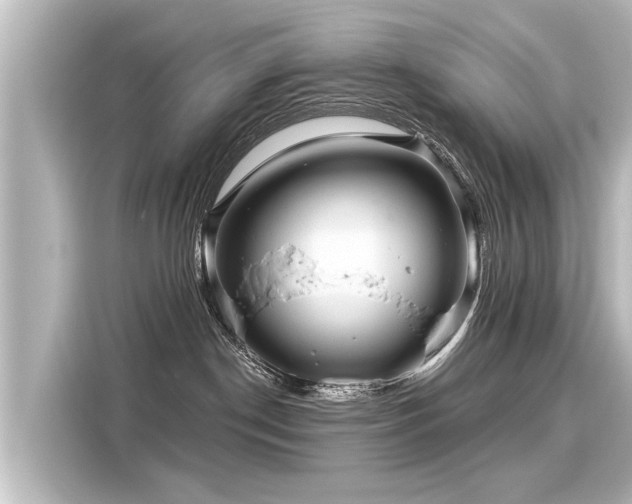 X0000116160190200911301609