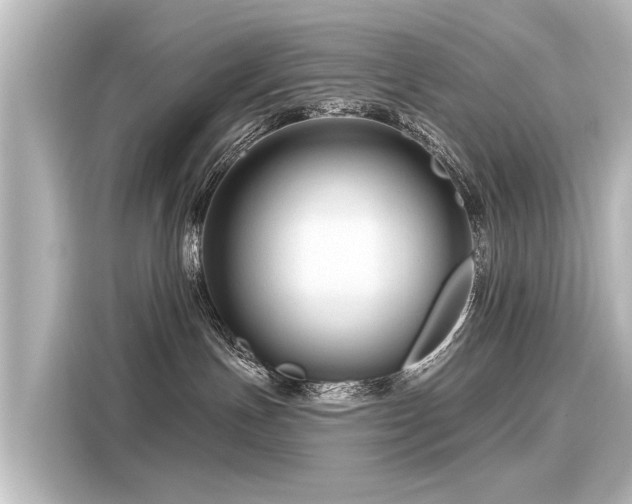 X0000116160191200911301609