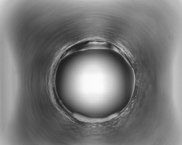 X0000116160193200911301609