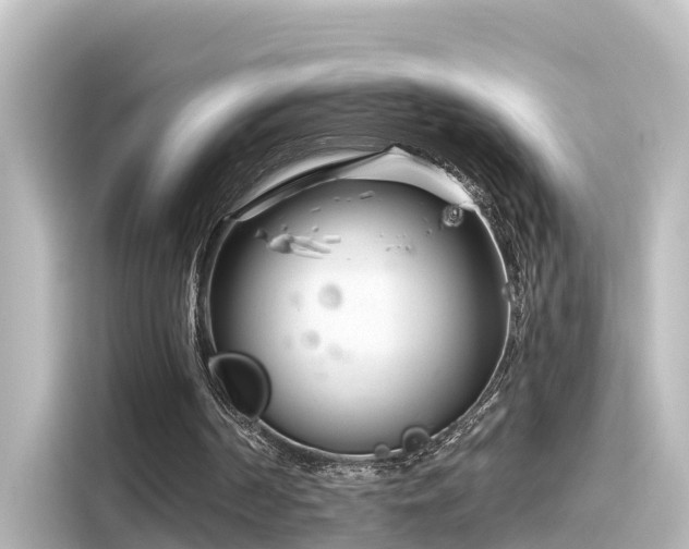 X0000116160194200911301609