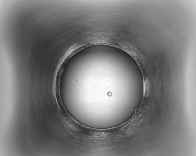 X0000116160195200911301609