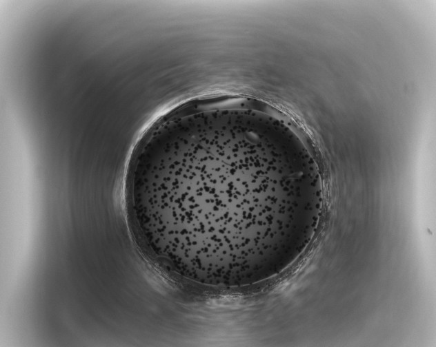 X0000116160196200911301609