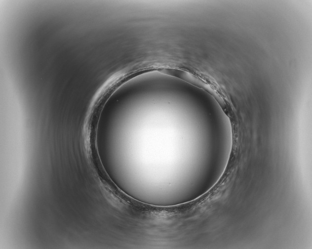 X0000116160197200911301609