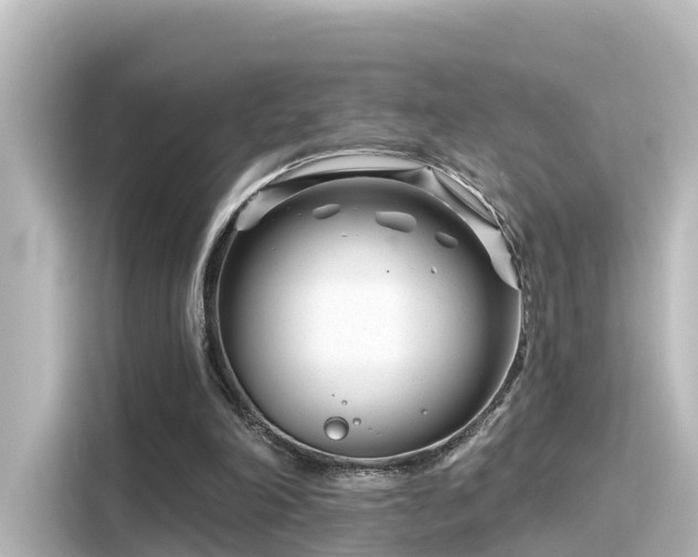 X0000116160198200911301609