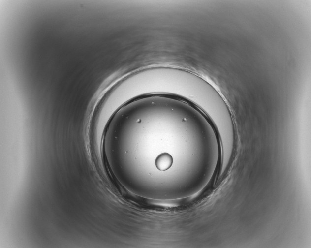 X0000116160199200911301609