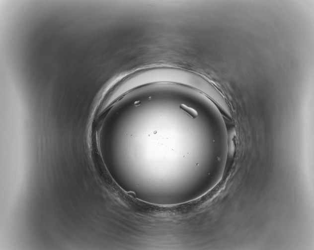 X0000116160200200911301609