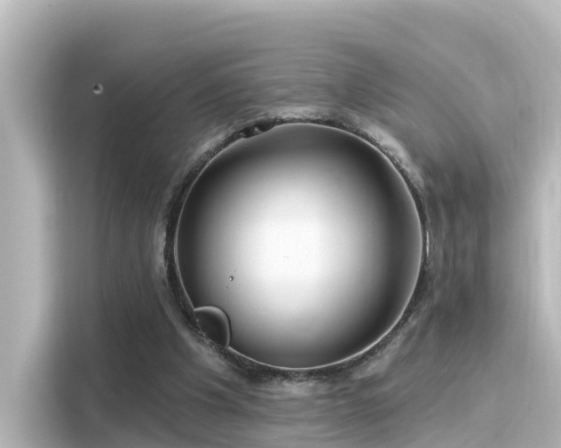 X0000116160201200911301609