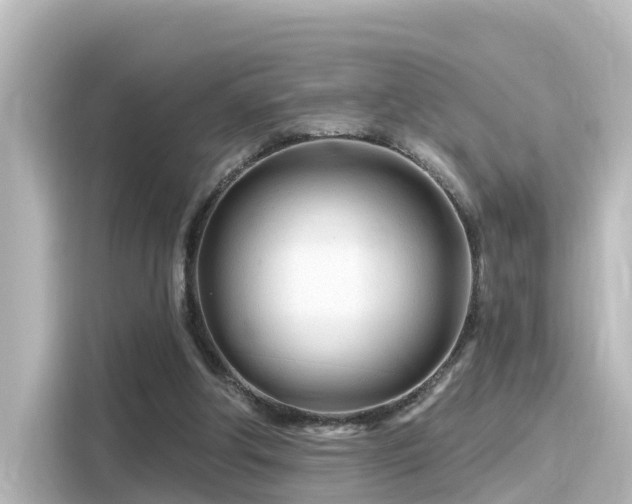 X0000116160202200911301609