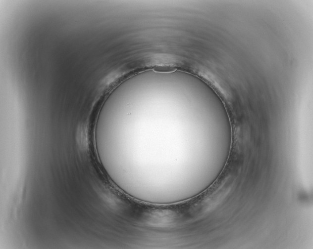 X0000116160203200911301609