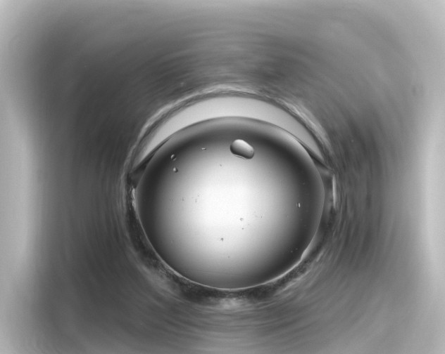 X0000116160204200911301609