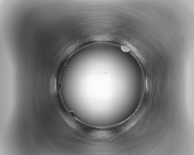 X0000116160205200911301609