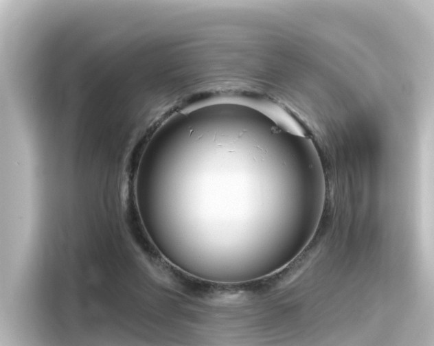 X0000116160206200911301609