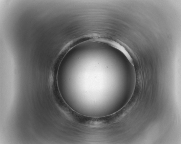 X0000116160208200911301609