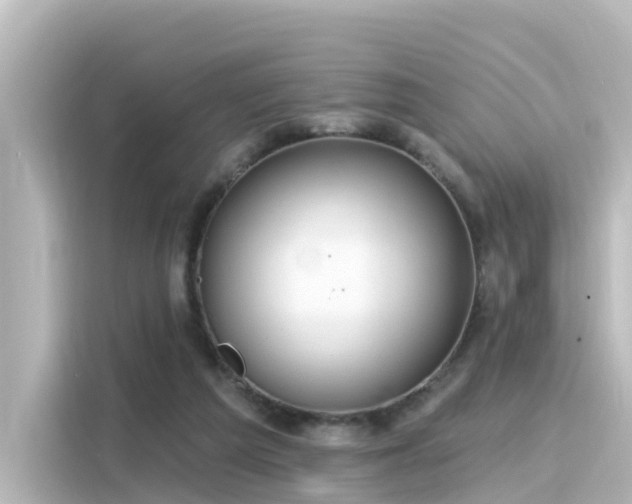 X0000116160209200911301609