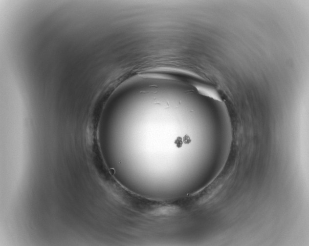 X0000116160210200911301609