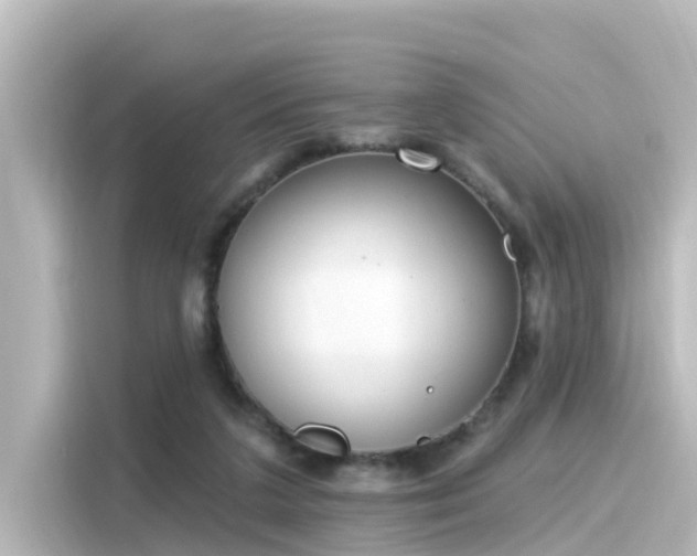 X0000116160211200911301608