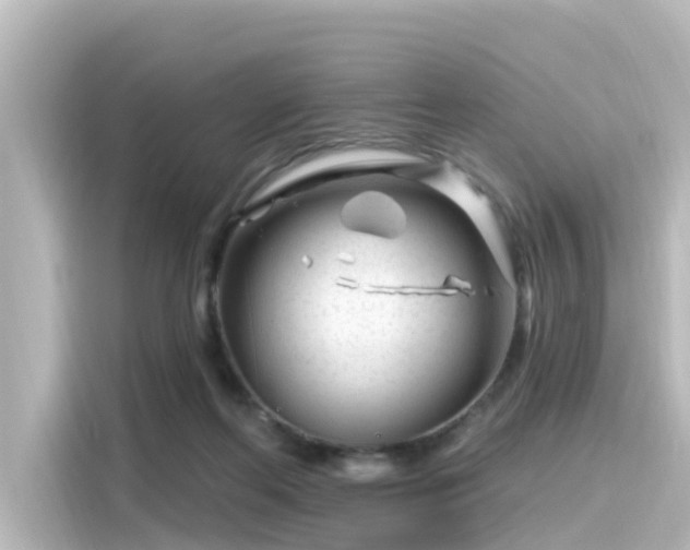 X0000116160214200911301608