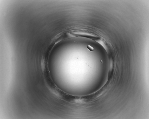 X0000116160216200911301608