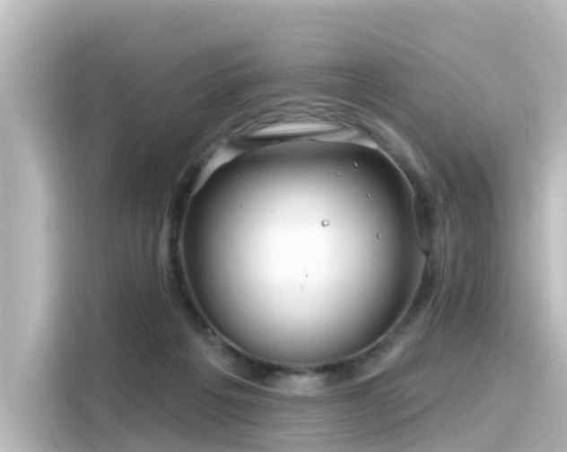 X0000116160217200911301608